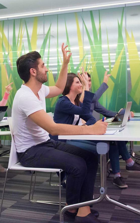 Online Study Classroom